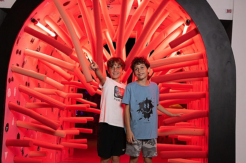 תערוכת תחושת בטן