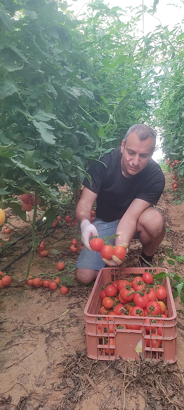 חקלאות ישראלית