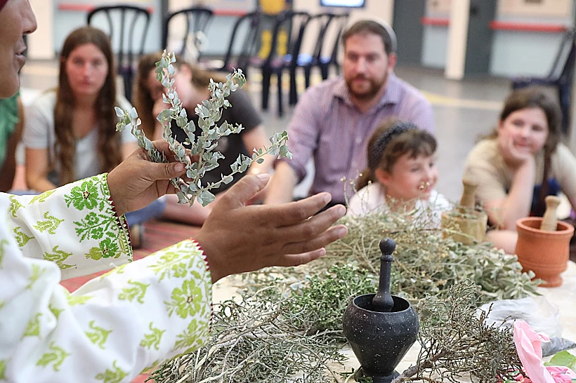 סדנה עתיד במדבר בירוחם