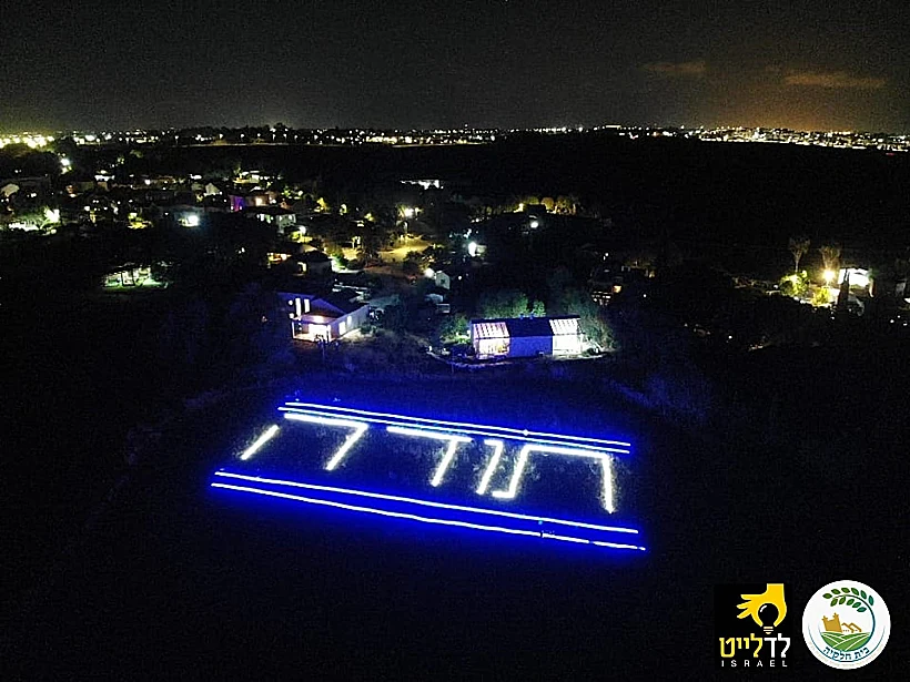 8ea59801 D1c2 4181 9195 2b878b