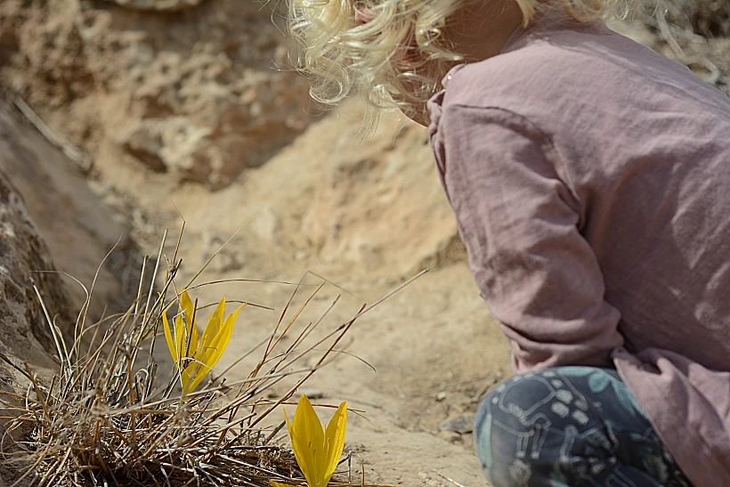 2022 The Whitehill Guesthou