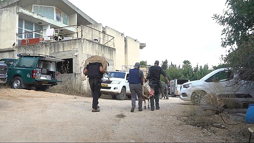 מבצע חילוץ בעלי החיים חרבות ברזל