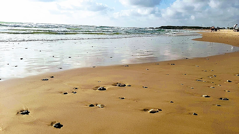 חוף הים בסמוך לשפך נחל אלכסנדר