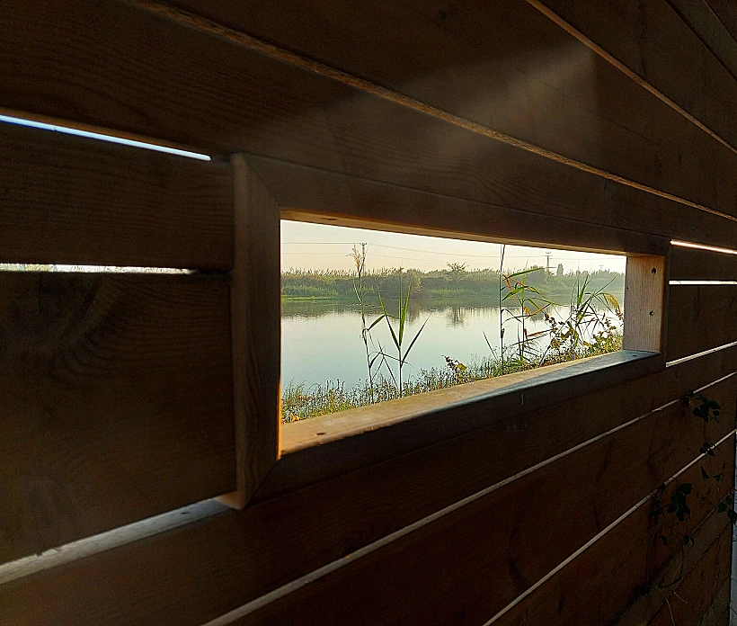 נקודת תצפית על בעלי החיים באגמון חפר