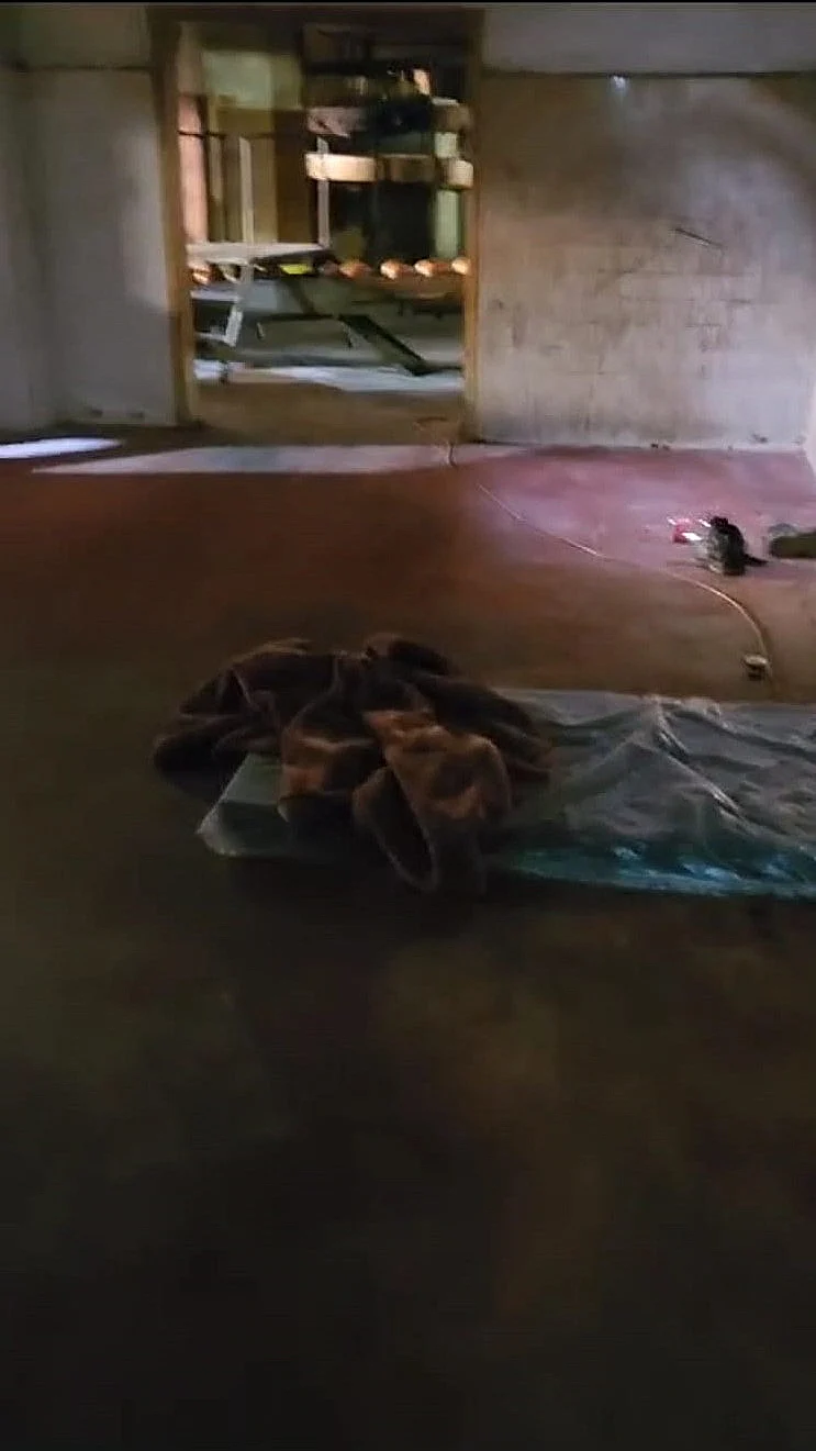 פעילות המשטרה נגד שוהים בלתי חוקיים והמסייעים להם