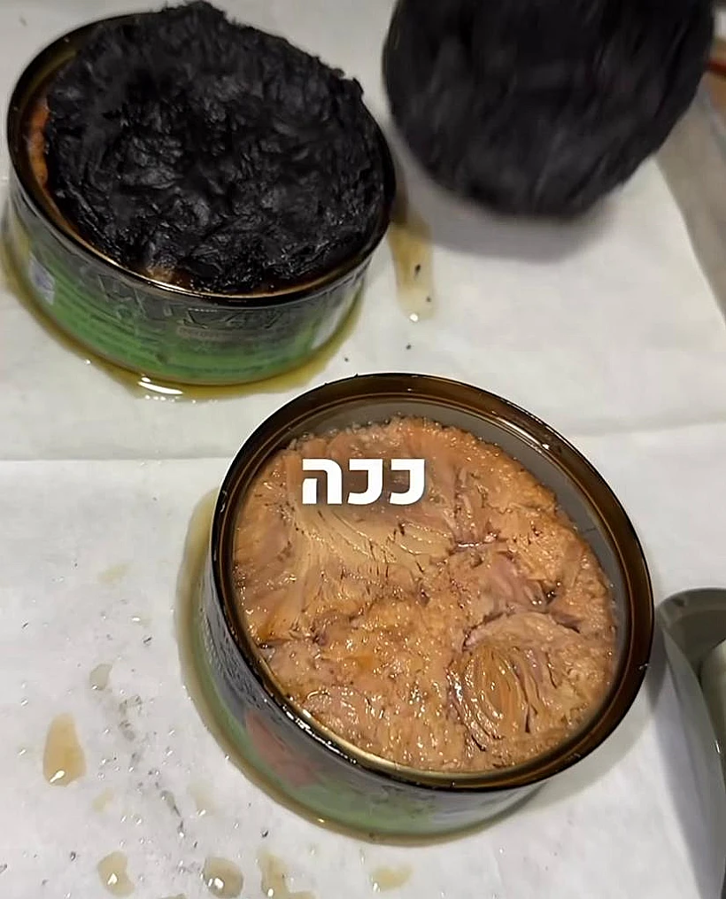 טונה שרופה של גל זהבי