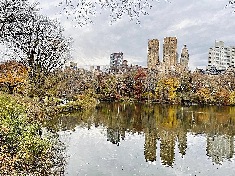 שלכת בניו יורק
