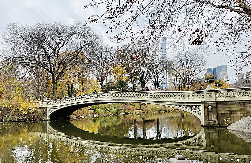 שלכת בניו יורק