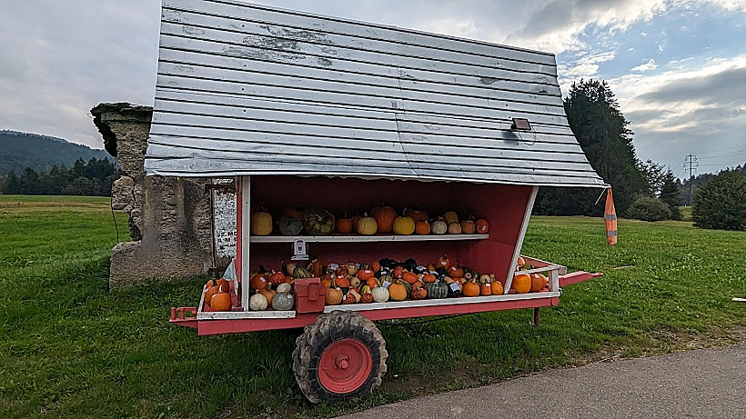 דלועים בשוויץ