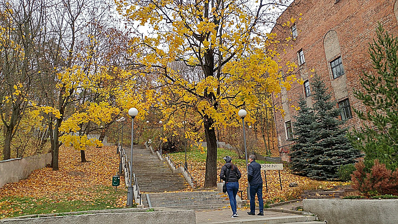 שלכת בקובנה, ליטא