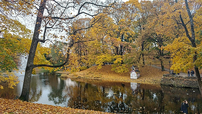 שלכת בריגה, לטביה