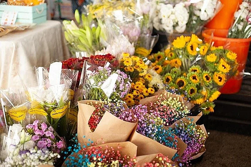 הבוסתן של סבא יוסי