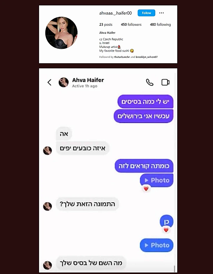 שיחות ברשתות החברתיות בין פרופילים של דמויות "אווטאר