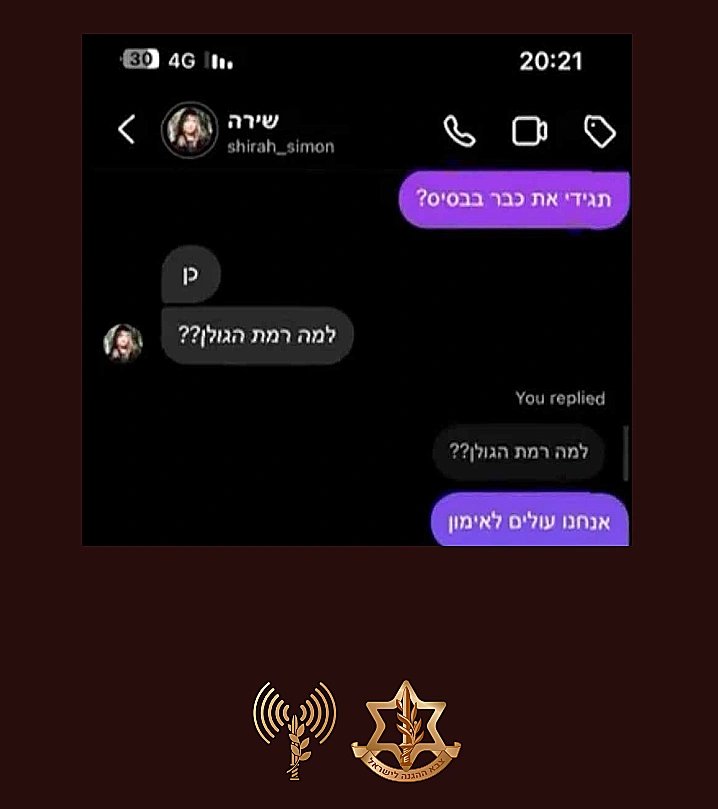 שיחות ברשתות החברתיות בין פרופילים של דמויות "אווטאר