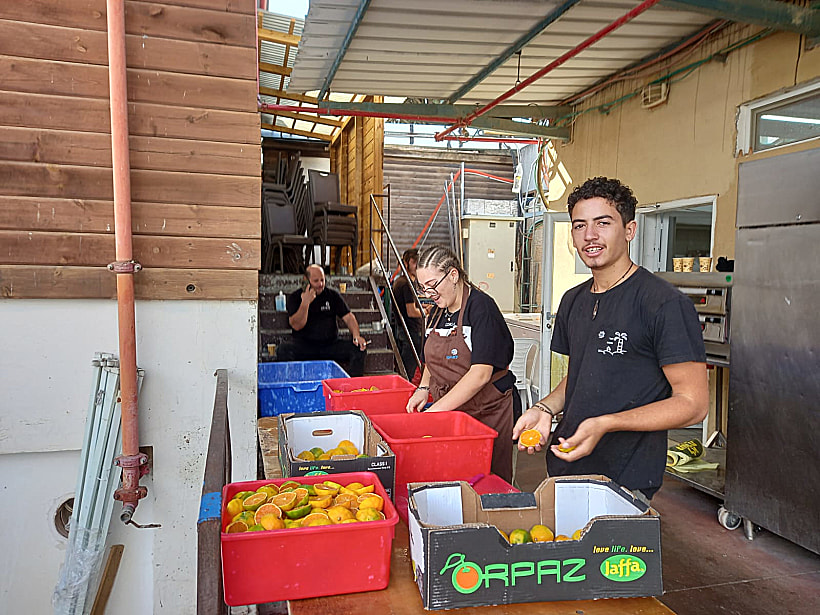 לואיזה יד השמונה