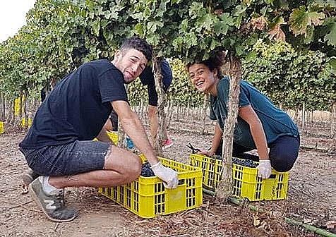 חקלאים, חקלאות מקומית