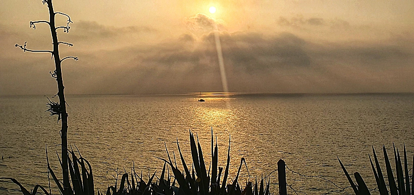 שקיעה באפולניה