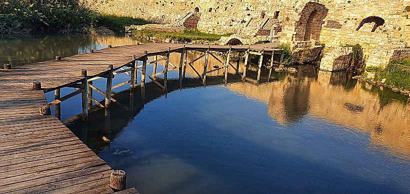 שמורת נחל תנינים