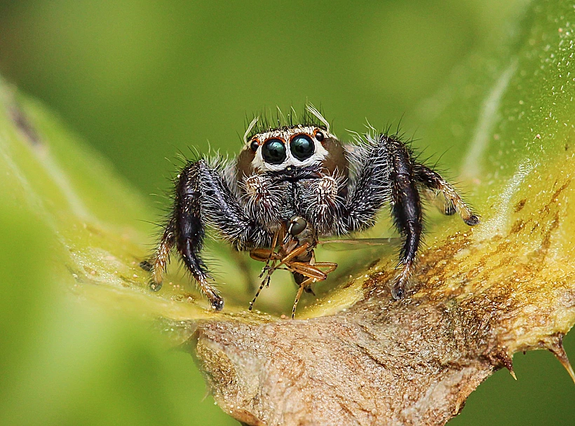 תערוכת טבע מקומי, מוזיאון ארץ ישראל