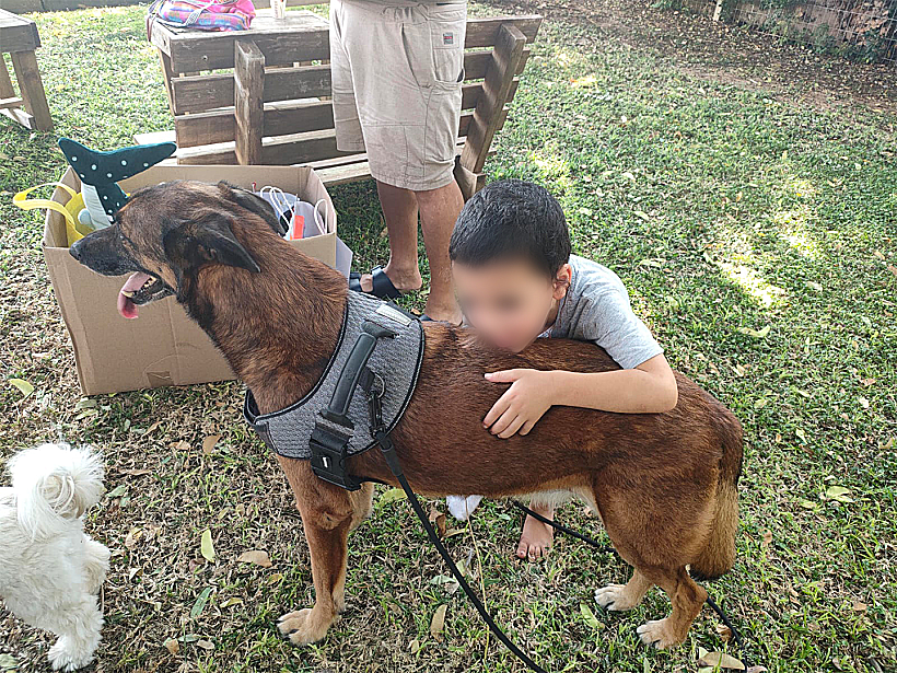 ניידת ליטוף נמרץ