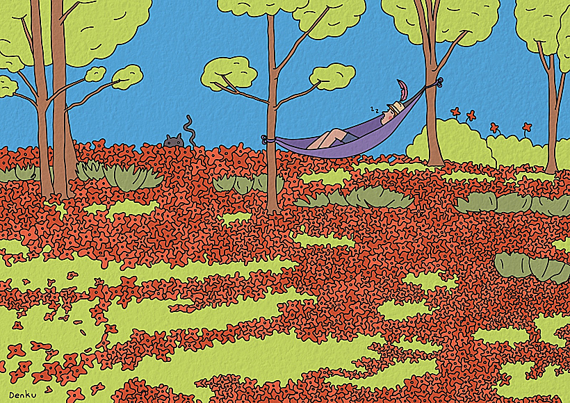 עדן קולר - דרום אדום