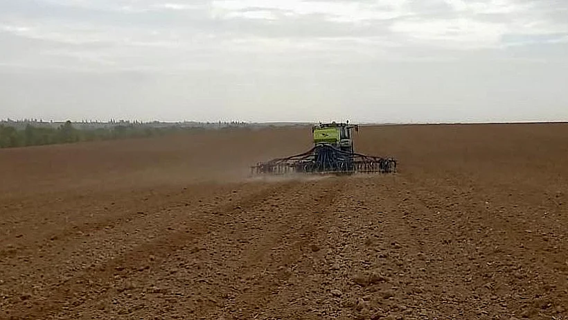 זורעים חיטה בקיבוץ בארי