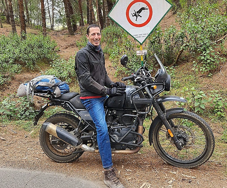 אביב אצילי חרבות ברזל