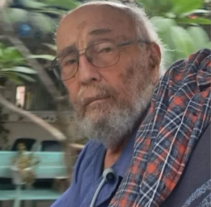 אריה זלמנוביץ