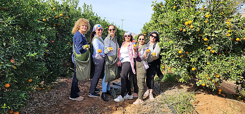 סיירת טיוליידי בפרדסי עמק חפר