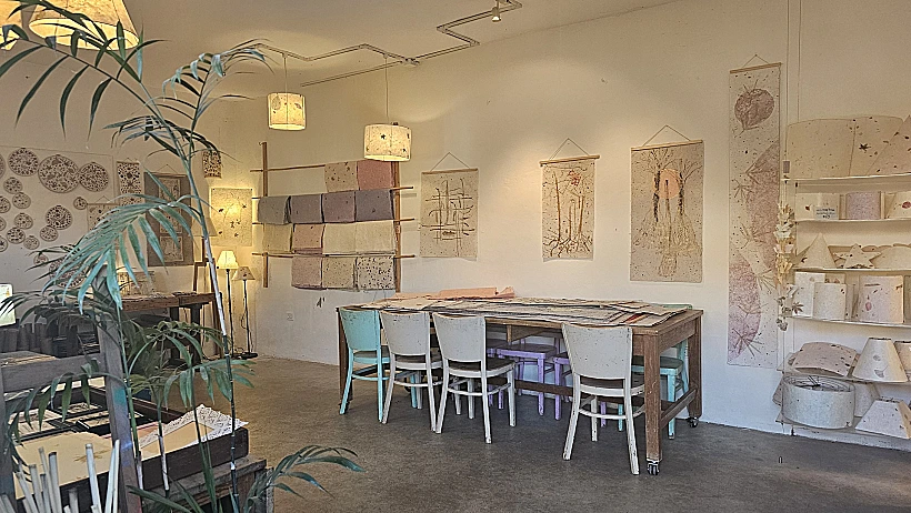 הגלריה של תות נייר