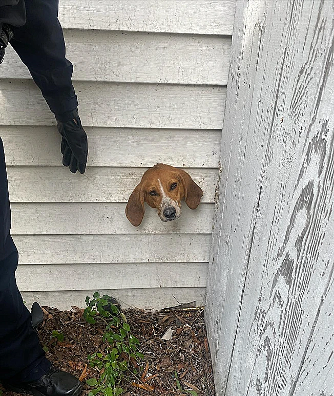 Sumter Police Department