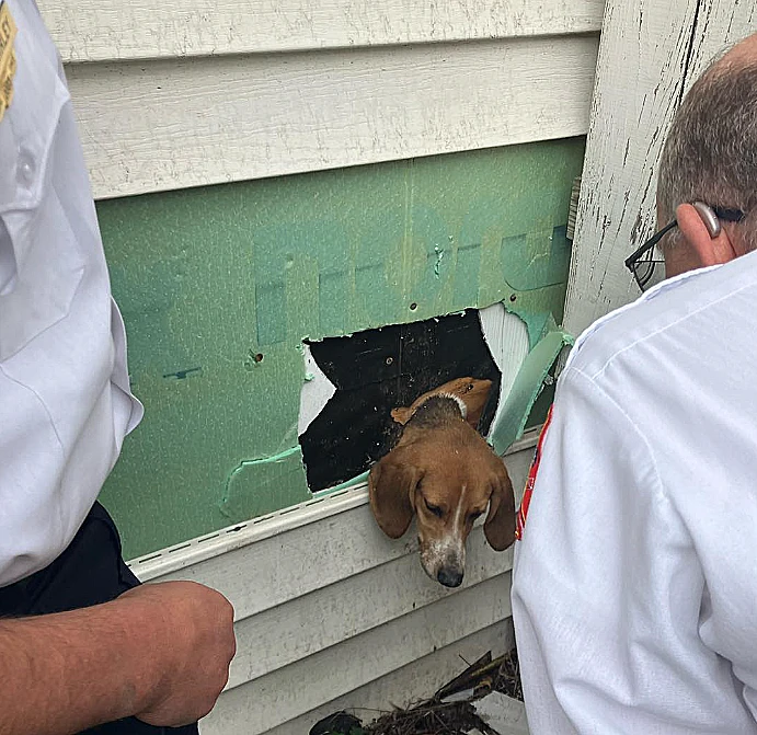 Sumter Police Department 3