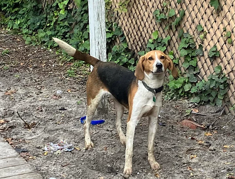 Sumter Police Department 4