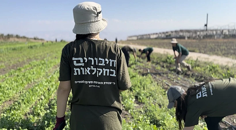 חיבורים בחקלאות