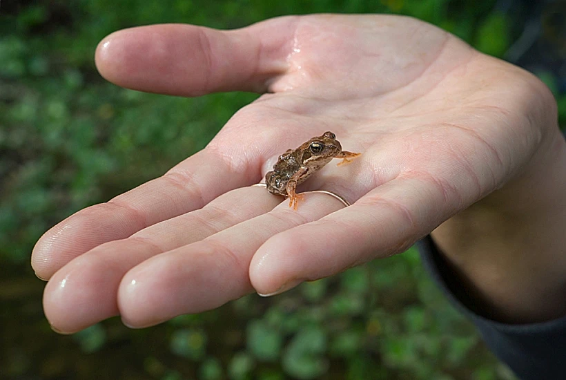 סהכ חמודים...
