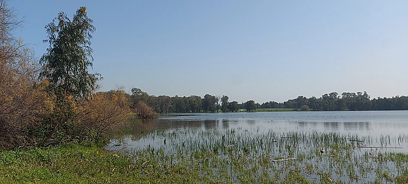 בריכת החורף חדרה