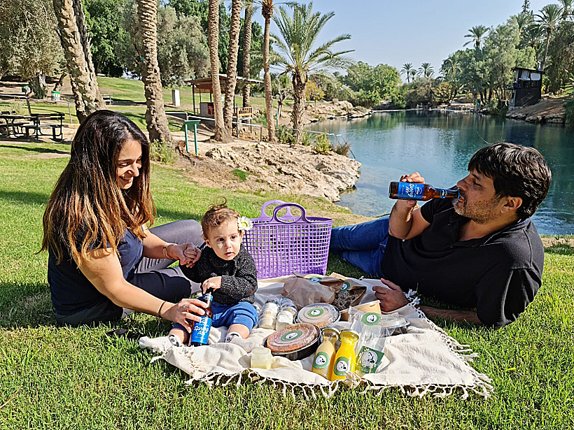 סל פיקניק משפחתי של גולדה