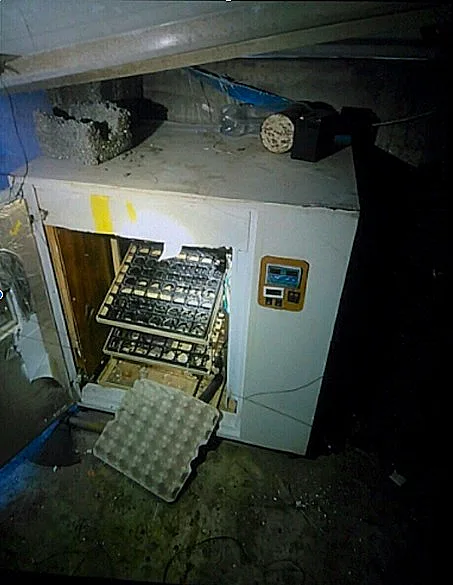 מעבדת מטענים שאותרה על ידי הכוחות צה"ל רצועת עזה חמאס חרבות ברזל