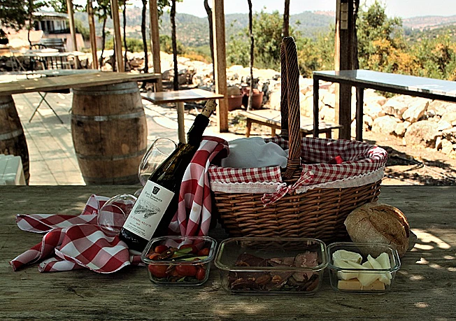 סלסלת פיקניק ממשק יין הנס שטרנבך