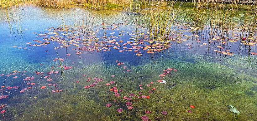 מונה בפארק אריאל שרון