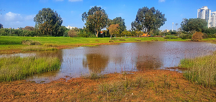 בריכת החורף בחוות שלם