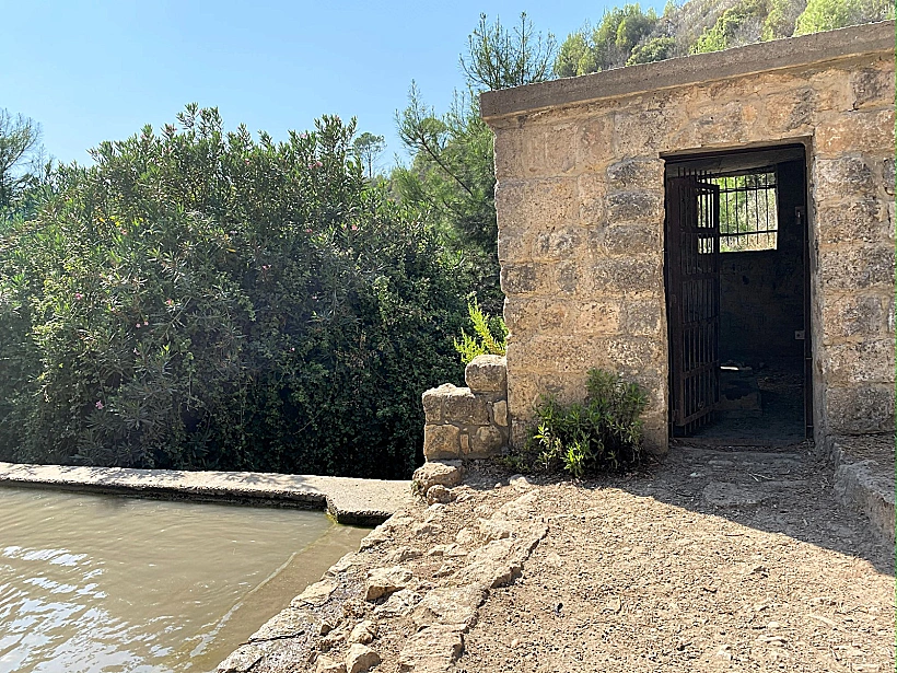 מעיין אחד בשבוע – עין אלון בכרמל