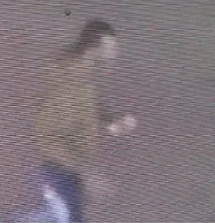 החשוד, כפי שנתפס במצלמת אבטחה