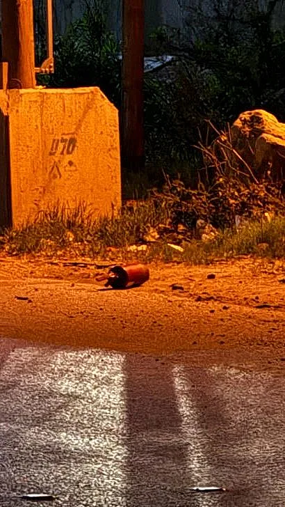 המטען שהושלך לעבר בסיס מג"ב