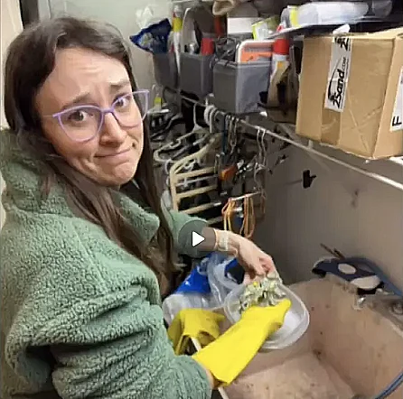 Clayton And Carrie Law 2