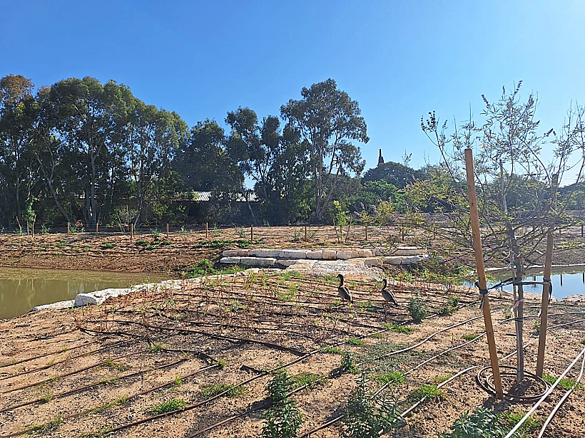 בריכת החורף המחודשת ופארק הטבע העירוני בחולון