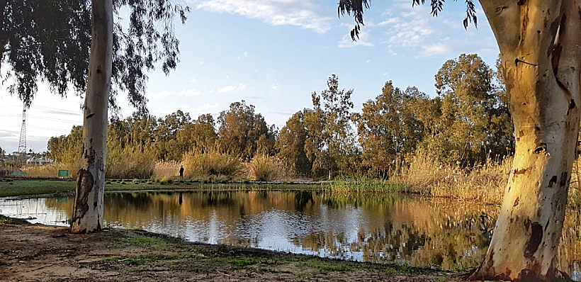 בריכת חורף פארק הרצליה