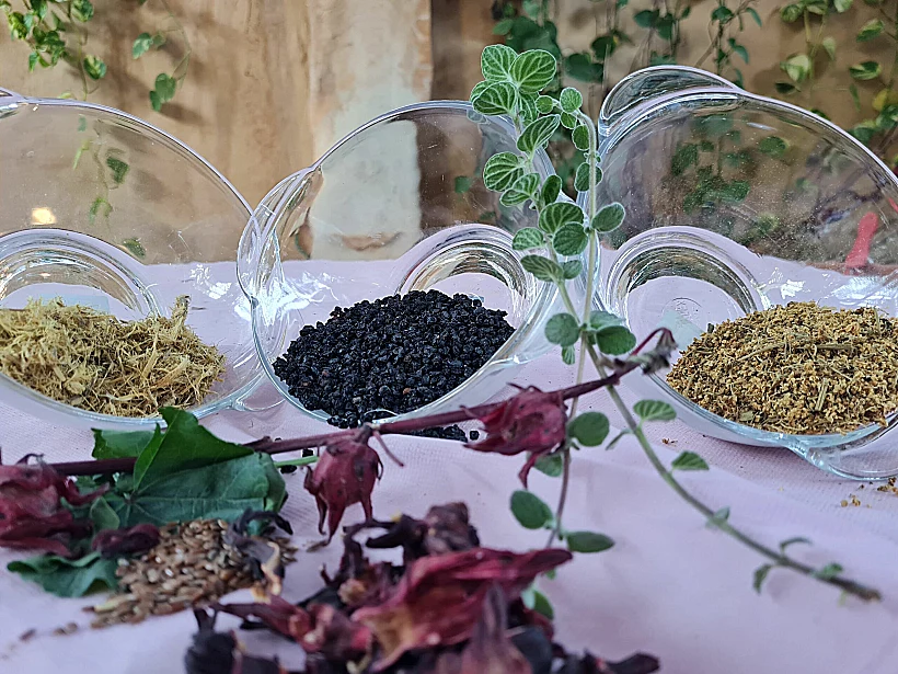 סדנת רוקחות מצמחי מדבר מרפאים