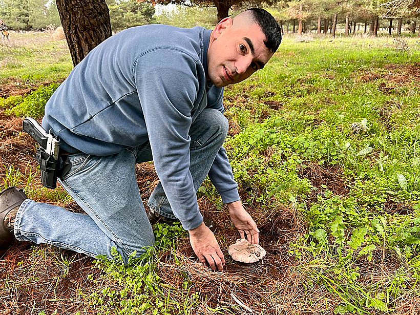 לירן טוויטו - סיור ליקוט פטריות ברמת הגולן