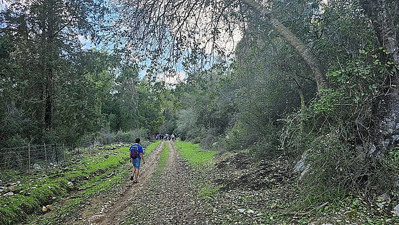 השביל הקסום ביער עופר